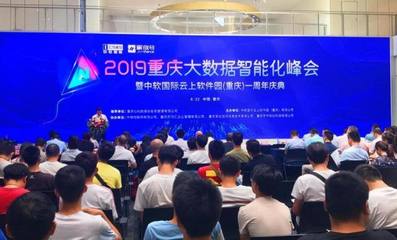 大數(shù)據(jù)賦能，軟件定義未來 重慶軟件開發(fā)企業(yè)在智能化浪潮下的機(jī)遇與路徑